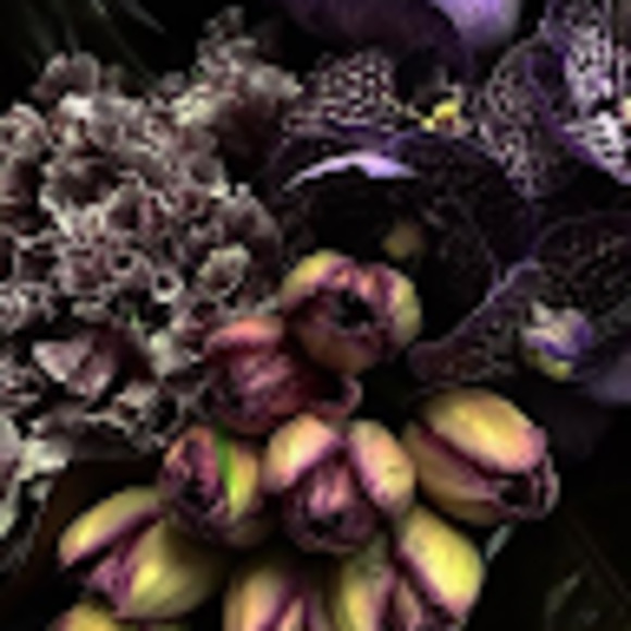 Meet your Posher, Karen - Picture 1 of 1